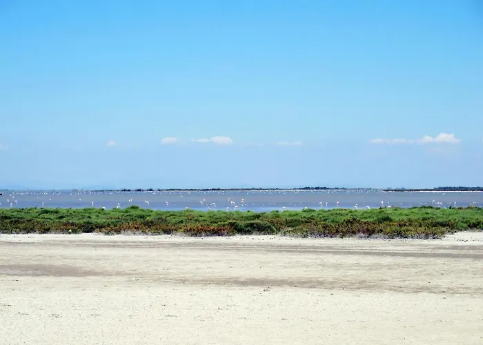 דירה Amigos-13 By Interhome לה-גרו-דו-רואה